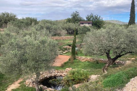 Landejendom i L'Ampolla, Tarragona, L'Ampolla - € 459.000 | Ref: Finca Bouddha - foto 47